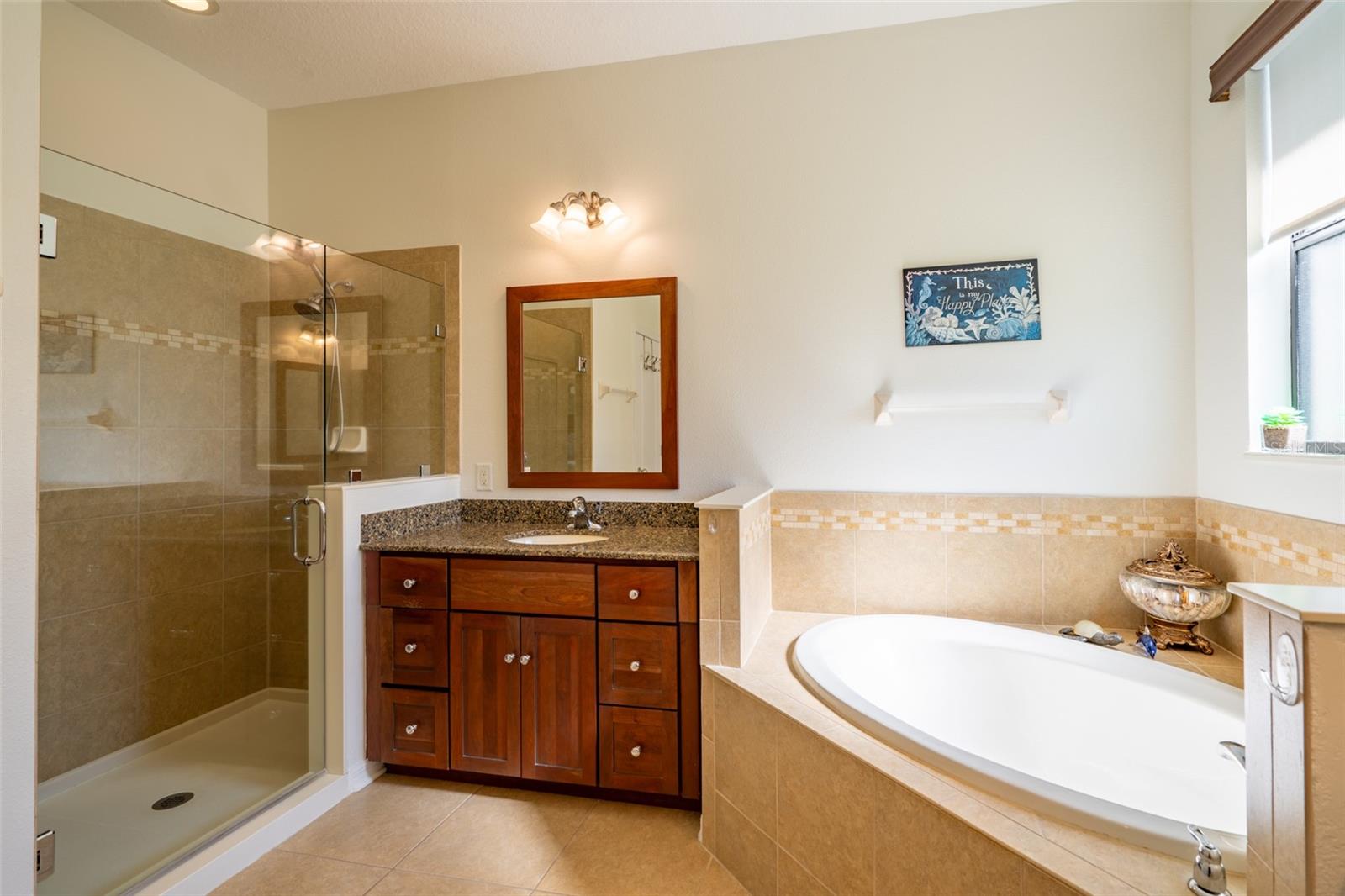 LARGE GLASS ENCLOSED SHOWER & SOAKING TUB