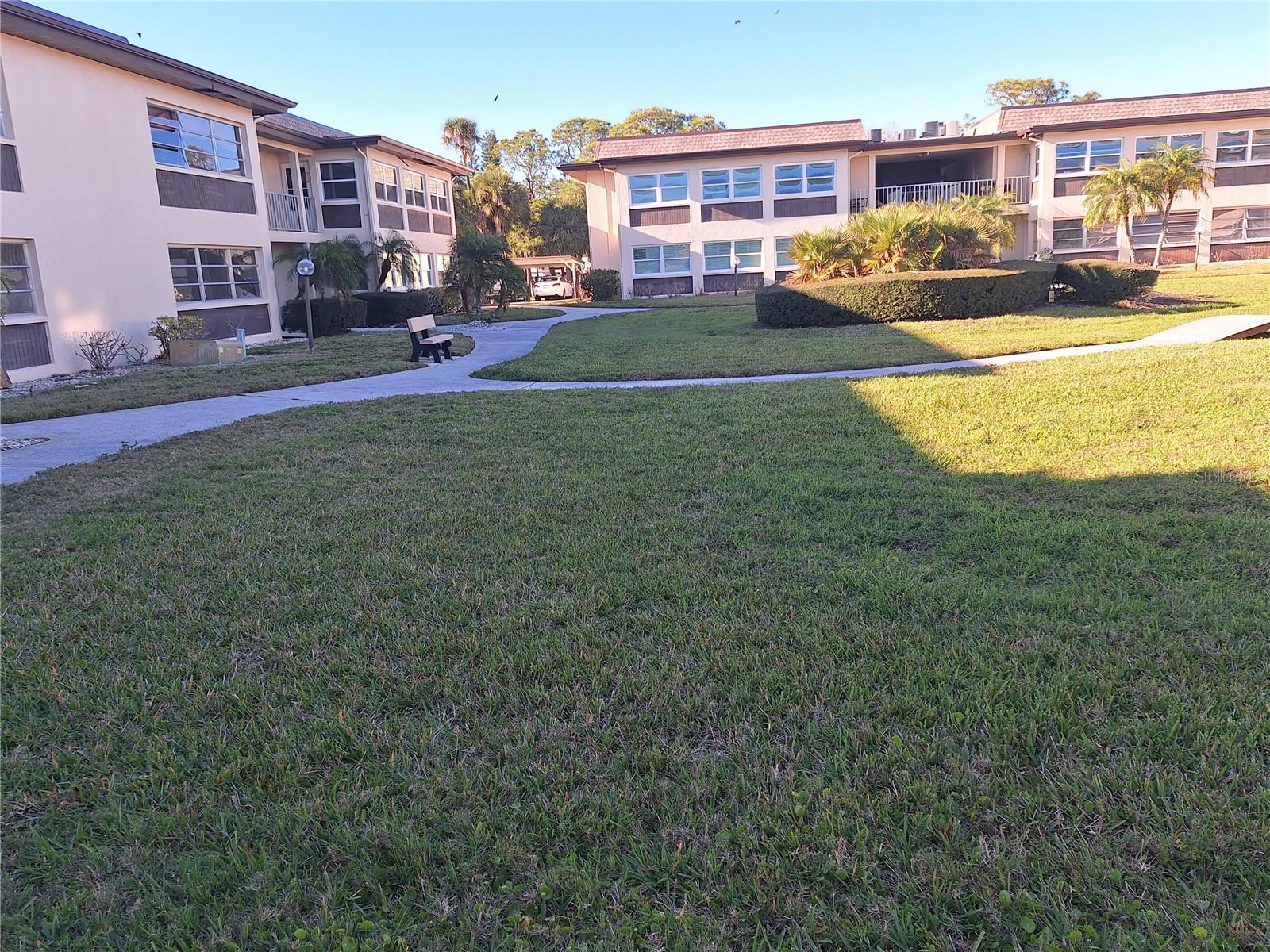 SPACIUOS AND OPEN GARDEN AREA COURTYARD