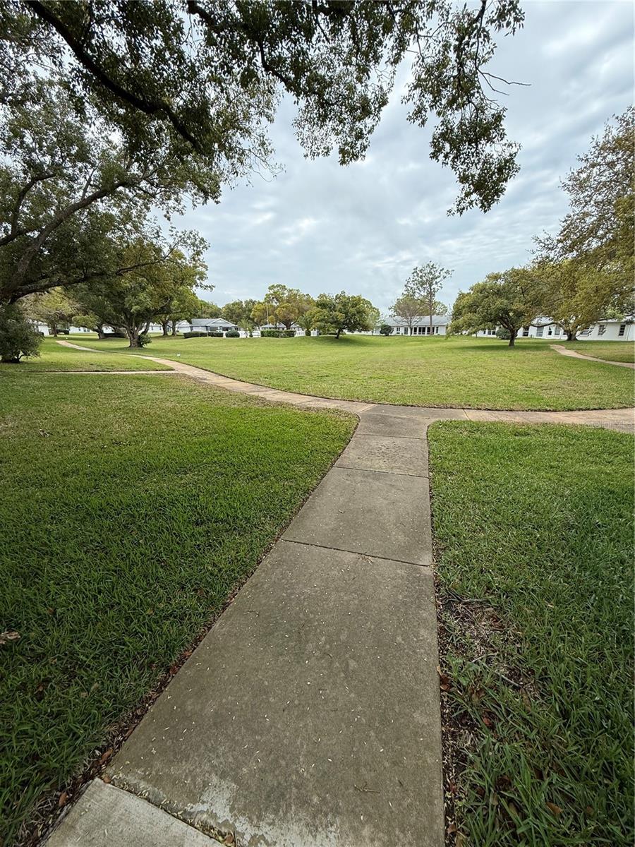 View of the Courtyard from the Backdoor