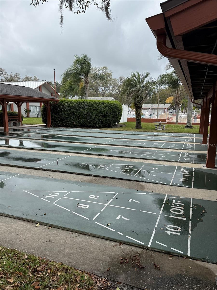 Shuffleboard Courts