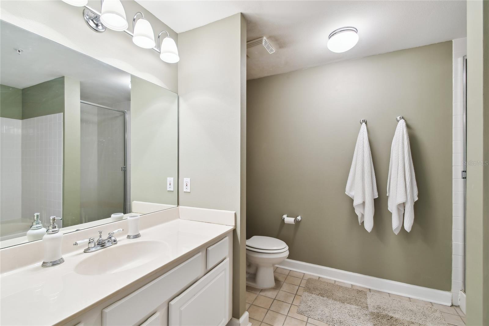 Primary bathroom with separate shower and tub.