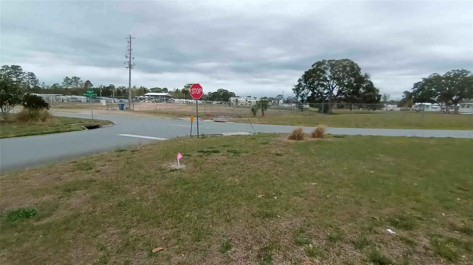 View from the front yard