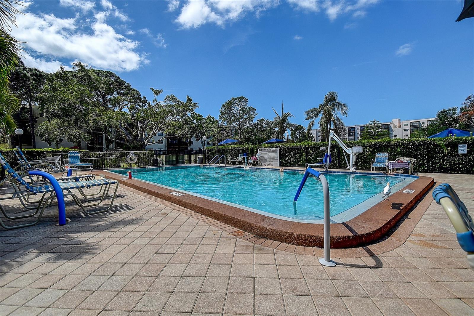 Beautiful heated pool