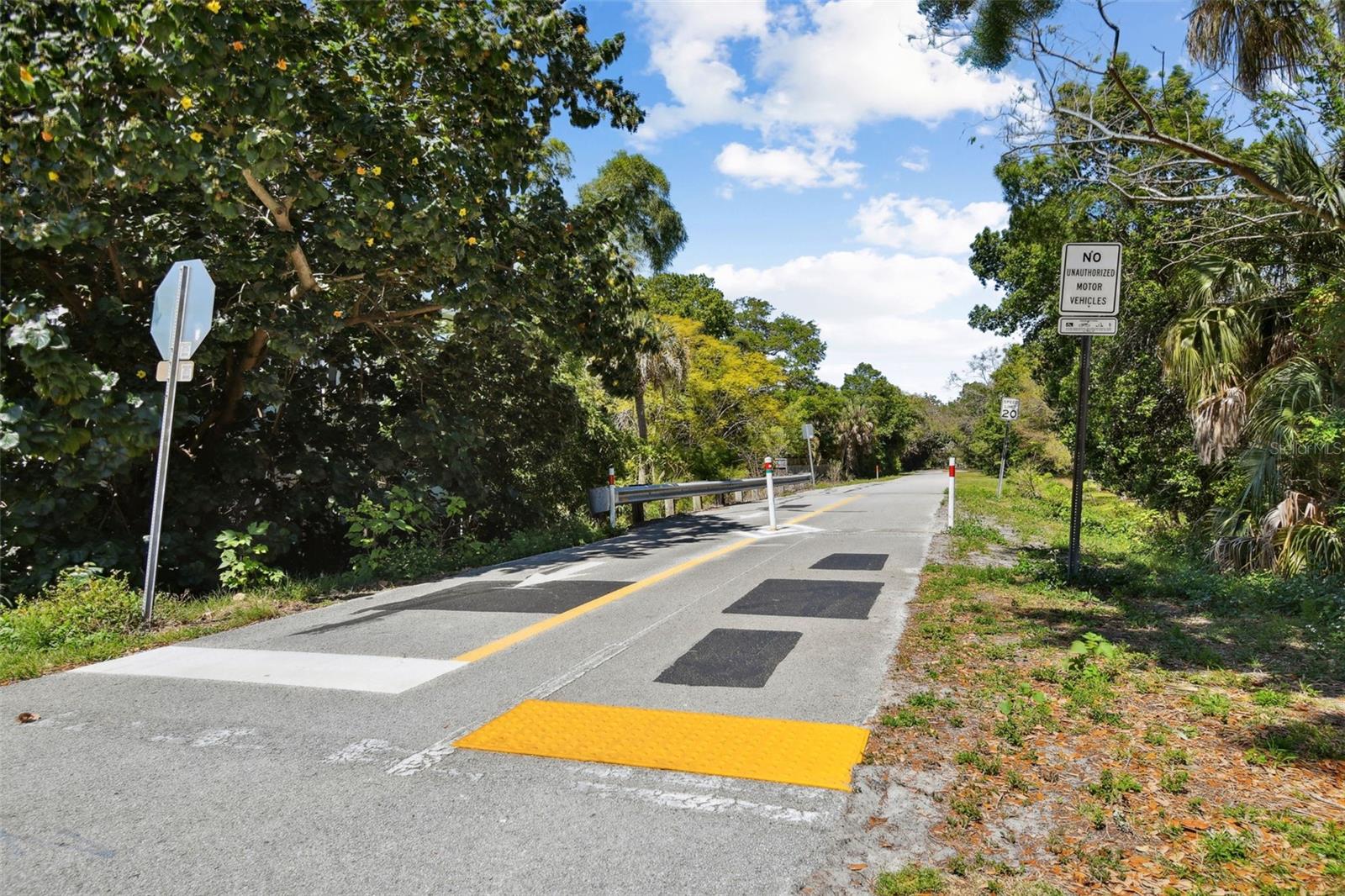 PINELLAS TRAIL ACROSS THE MAIN STREET