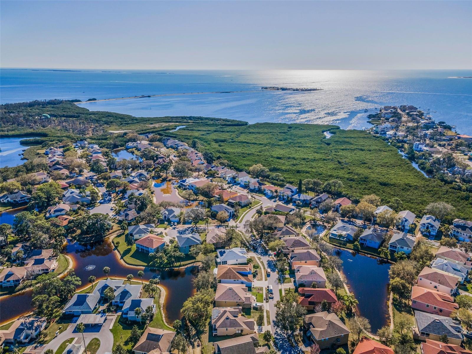 Aerial View of Pointe Alexis South and Gulf of Mexico1010 Blue Heron Way, Tarpon Springs, FL 34689