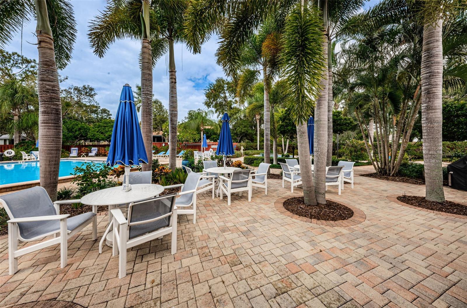 Lounge/Recreation Area/PoolS Pointe Alexis Dr, Tarpon Springs, FL 34689