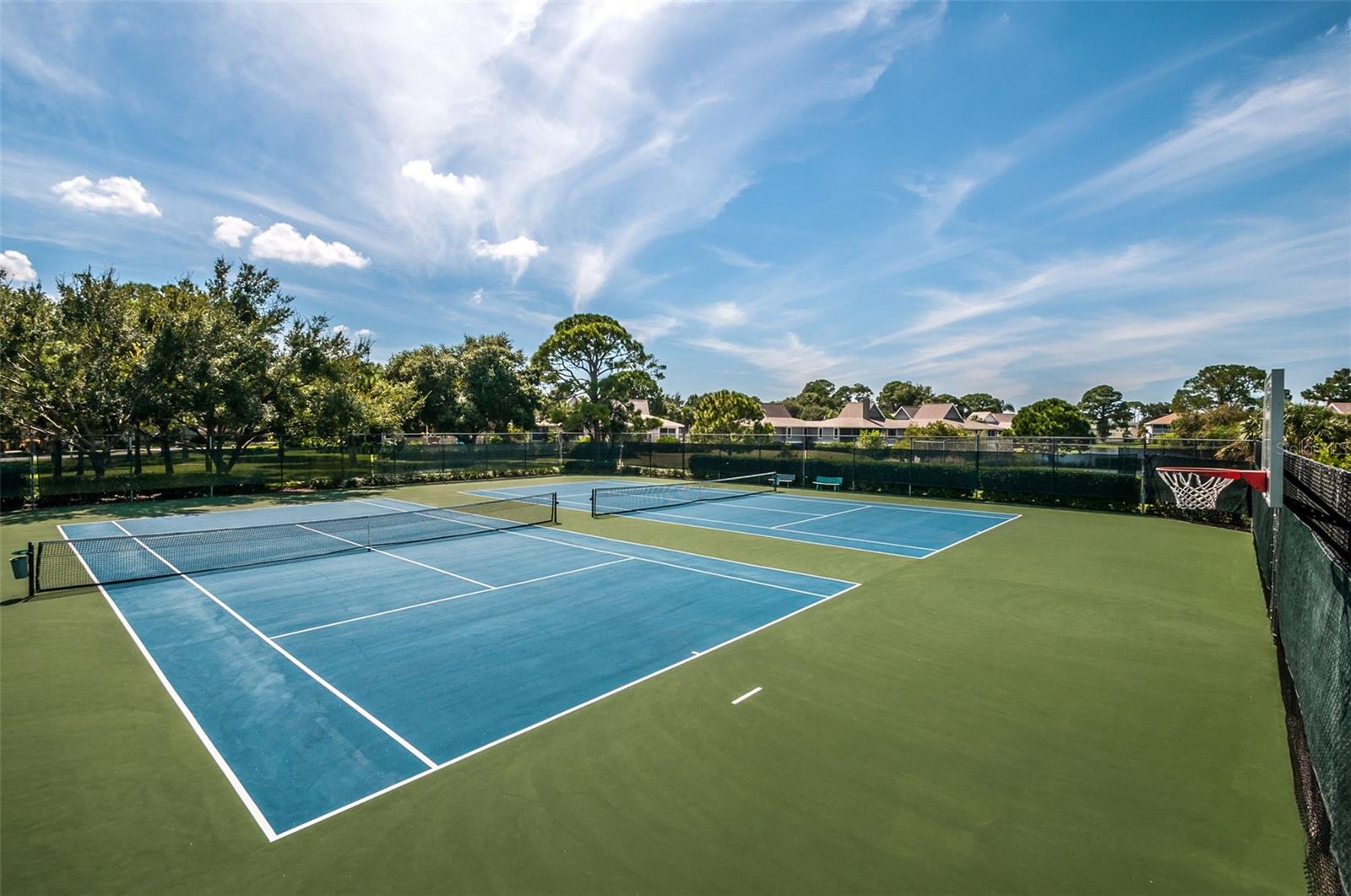 Tennis Courts - Pickleball CourtsS Pointe Alexis Dr, Tarpon Springs, FL 34689