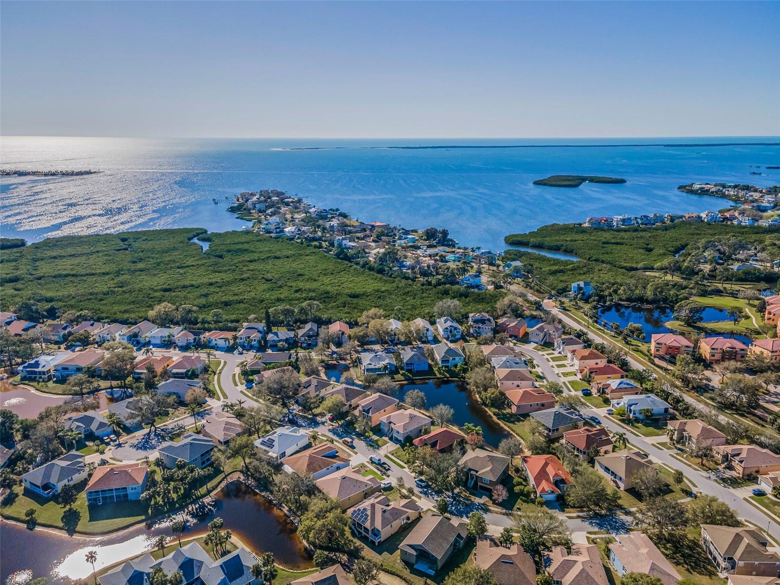 Aerial View of Pointe Alexis South1010 Blue Heron Way, Tarpon Springs, FL 34689