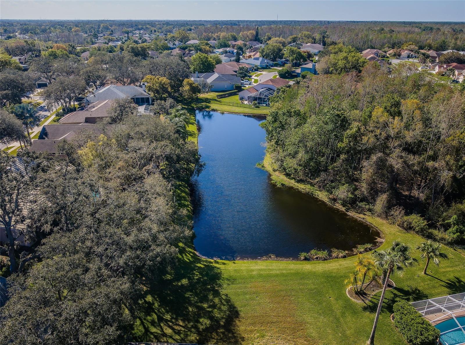 Backyard Aerial View