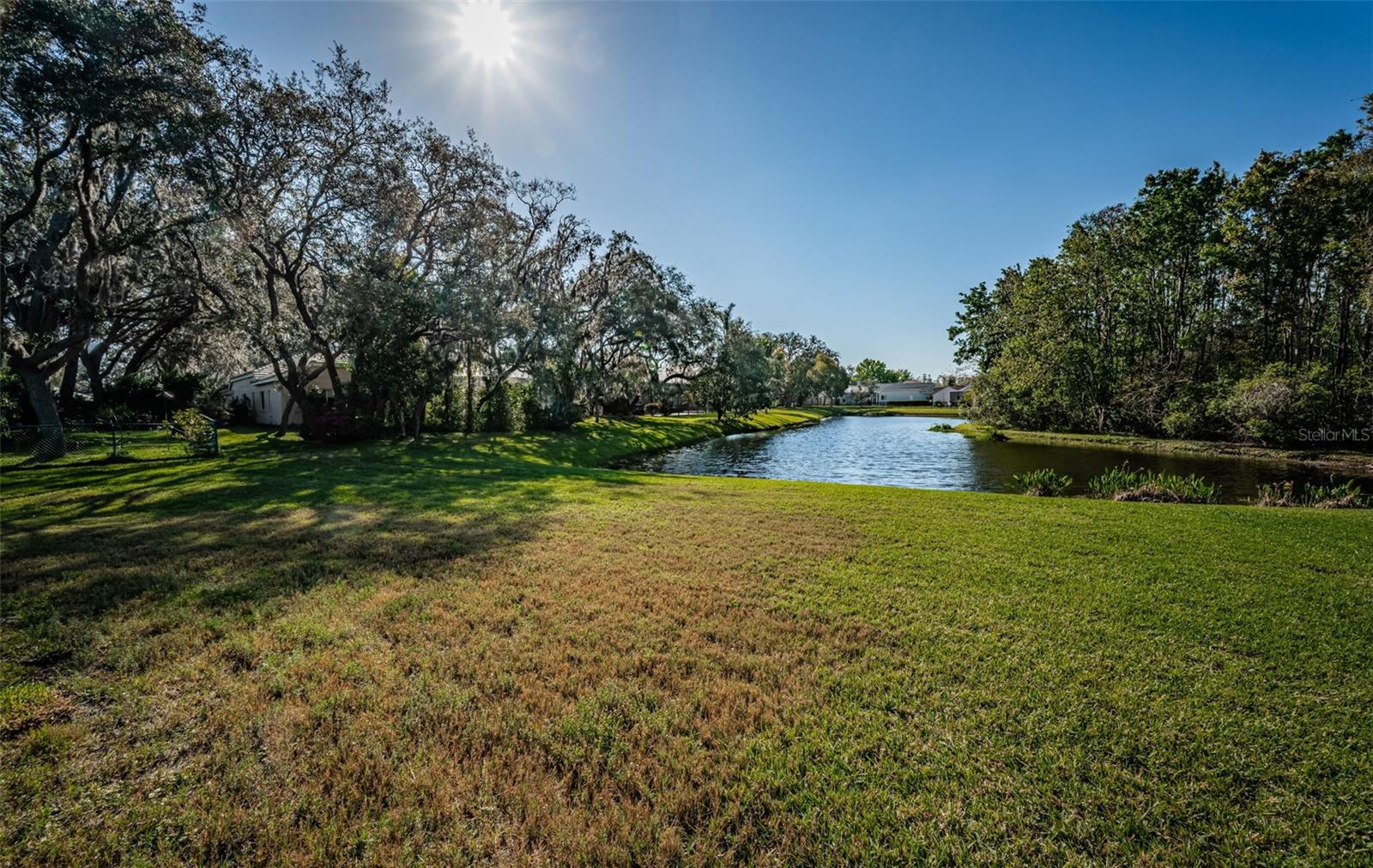 Backyard views