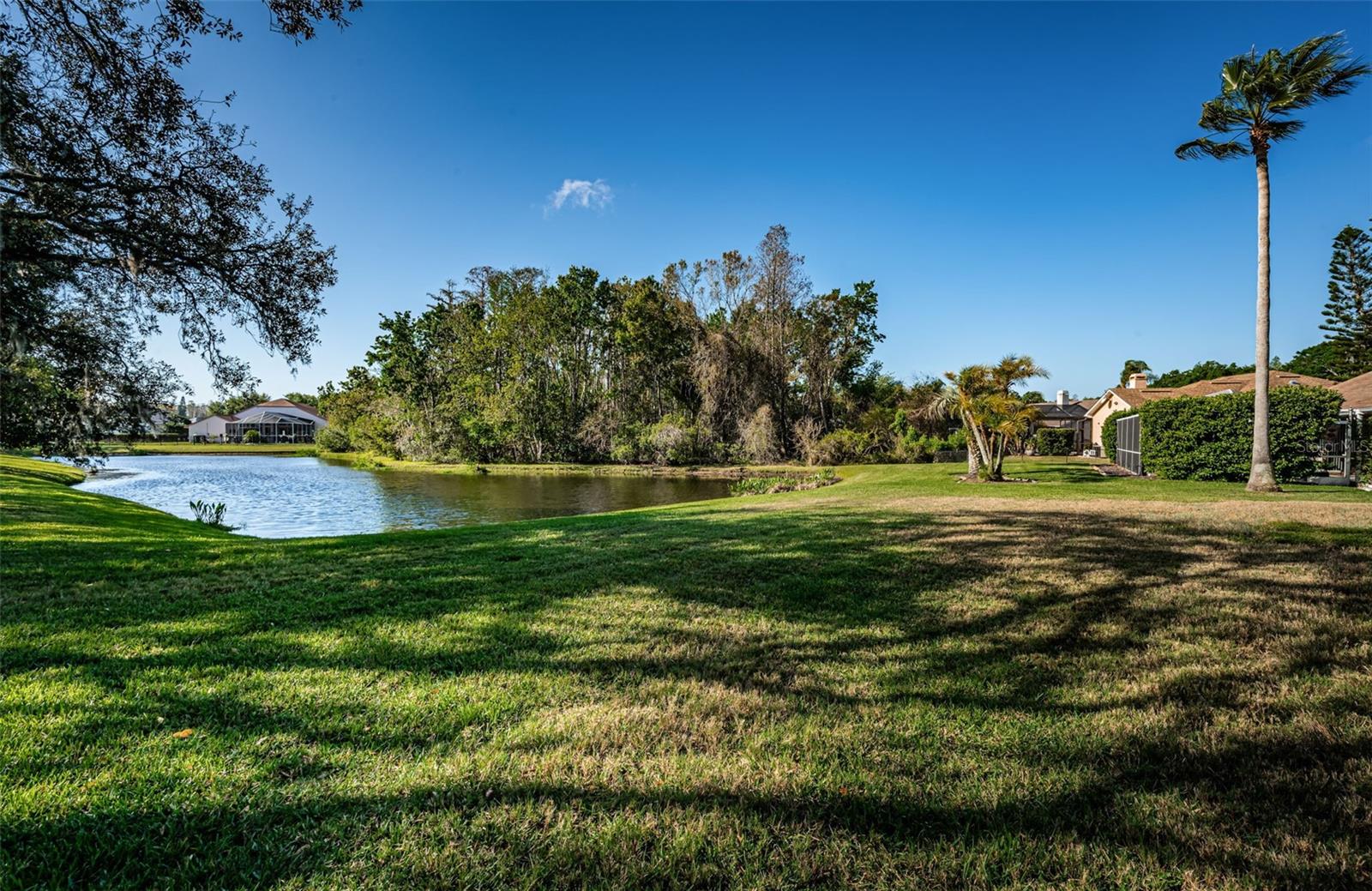 Backyard views