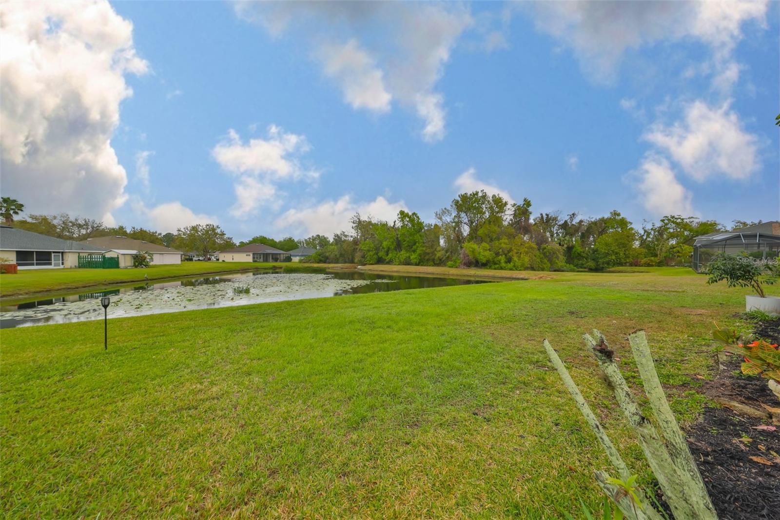 Large backyard as wellwith peaceful pond