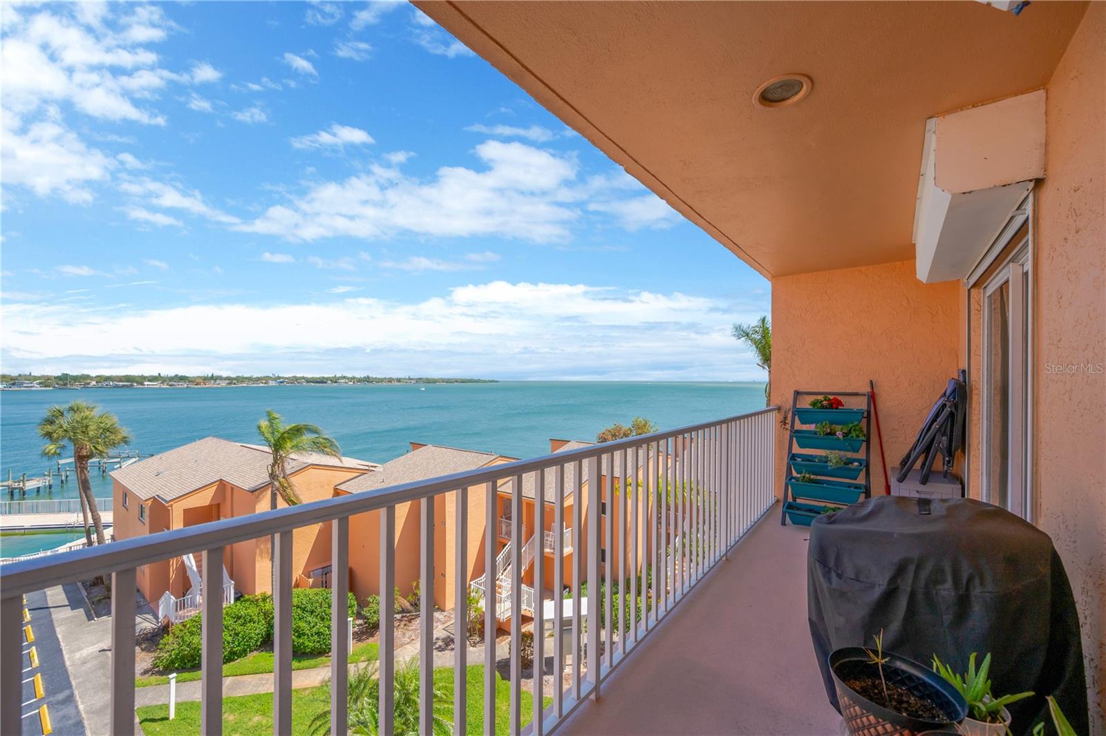 Wide open views of Tampa Bay with Cruise ship sightings daily