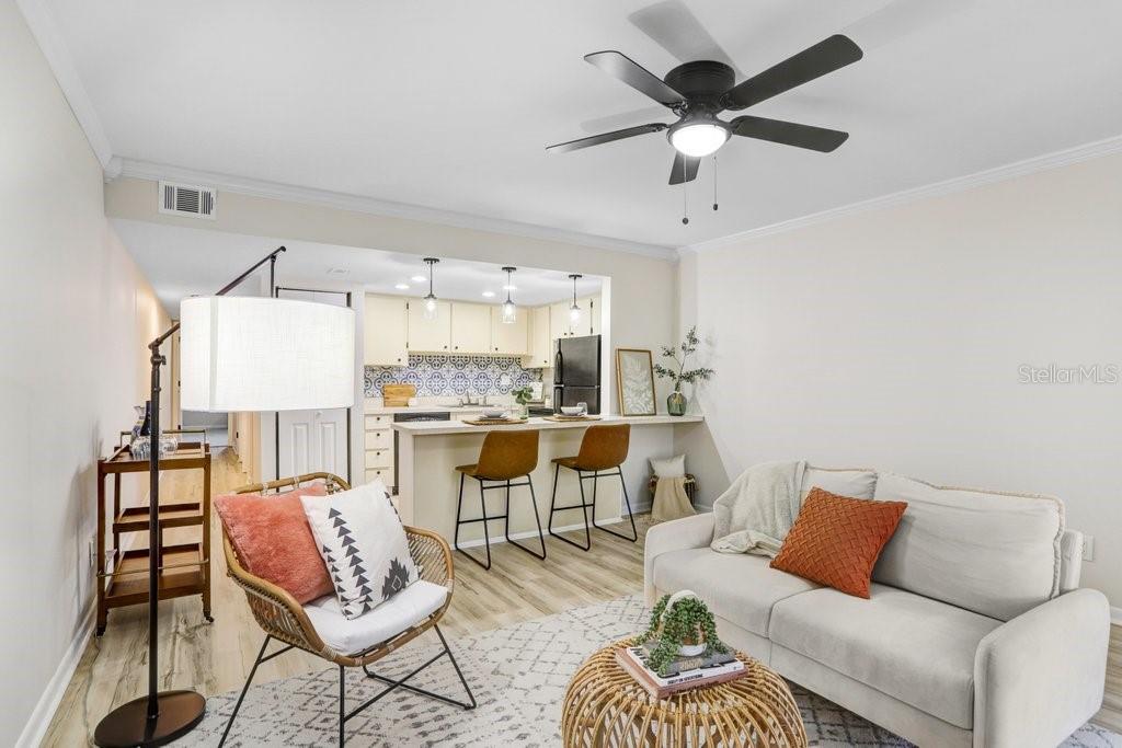 Living Room/Kitchen Combo