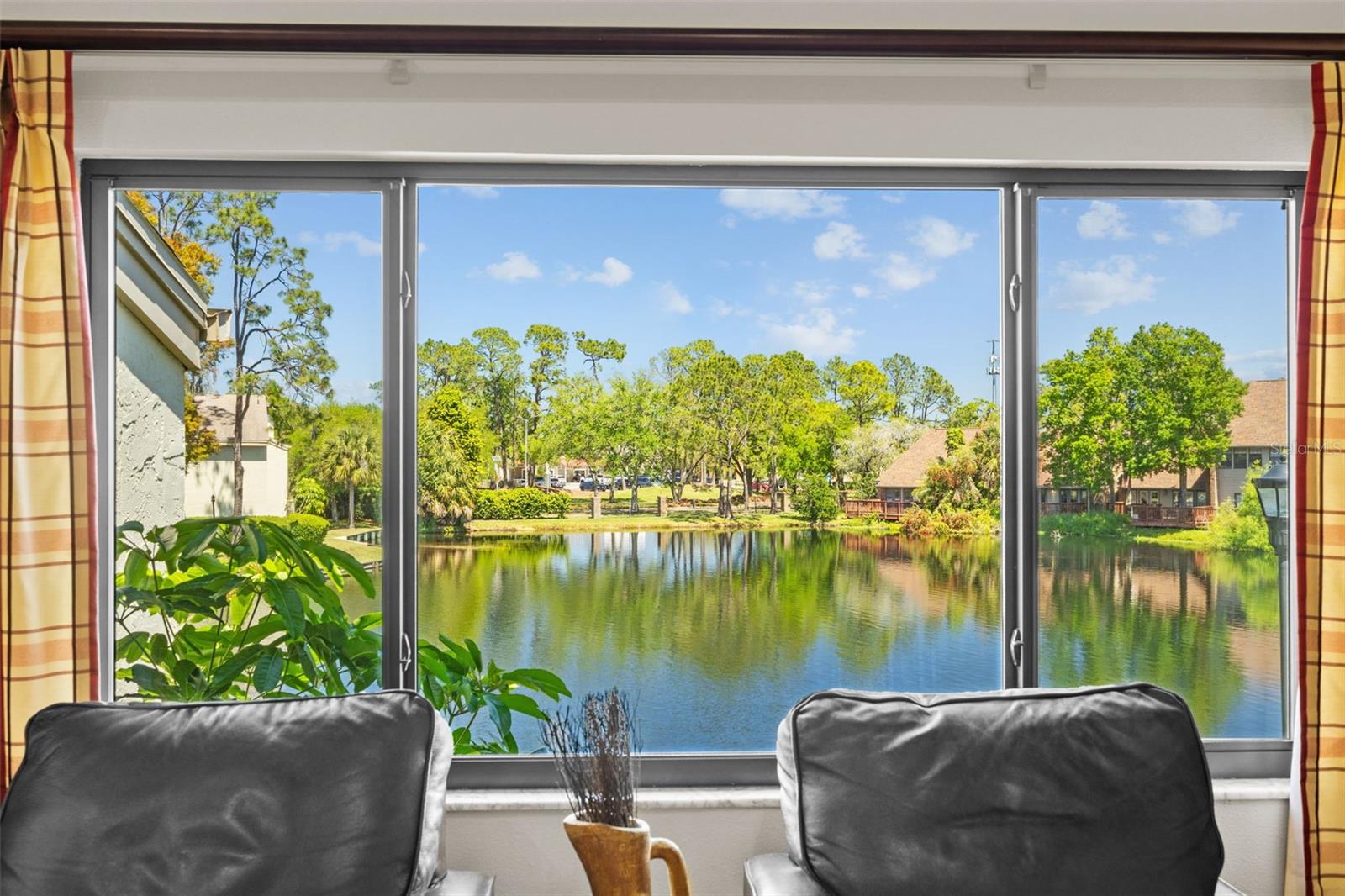 Living room  window view 1