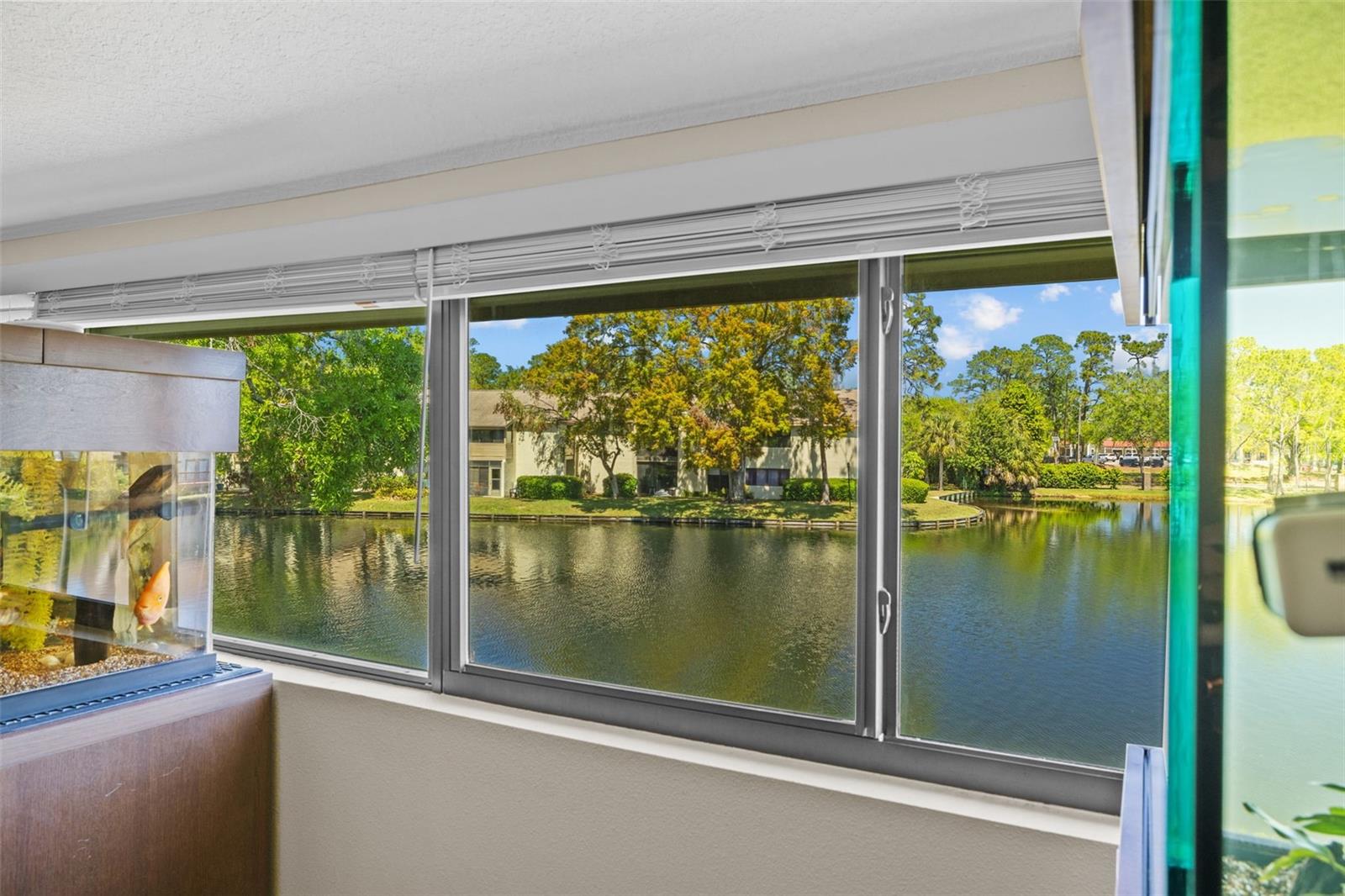 Bonus area window view