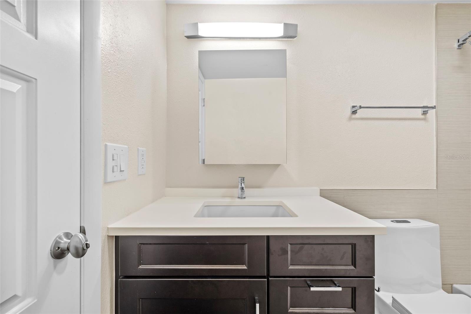 Guest bathroom vanity sink