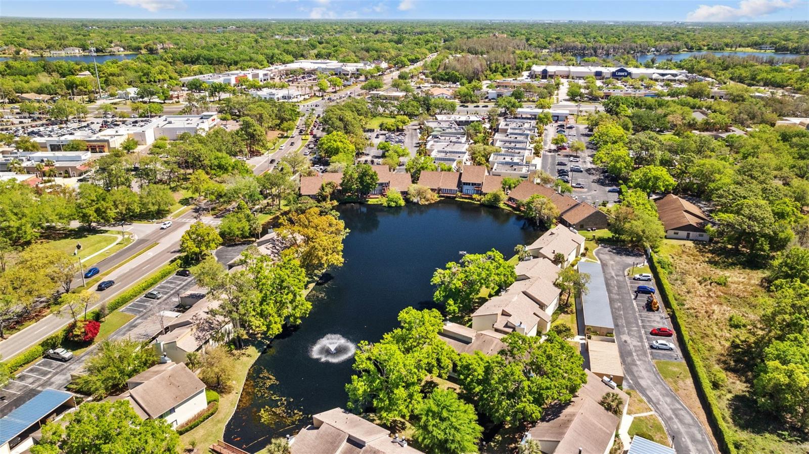 Drone view