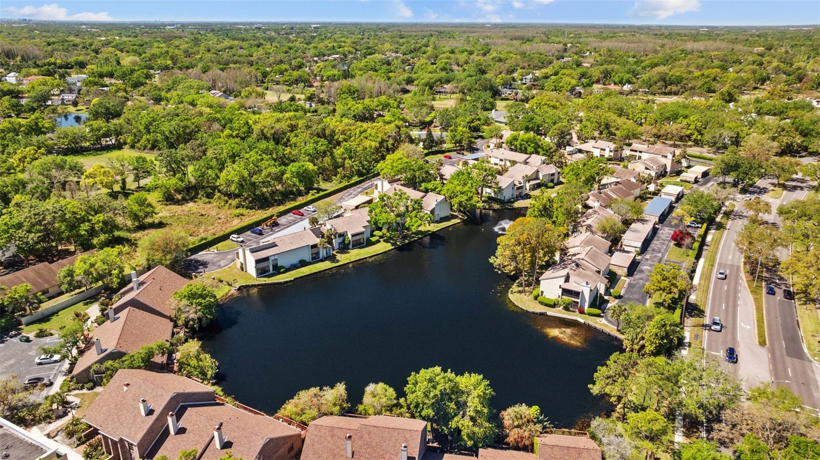 Drone view back
