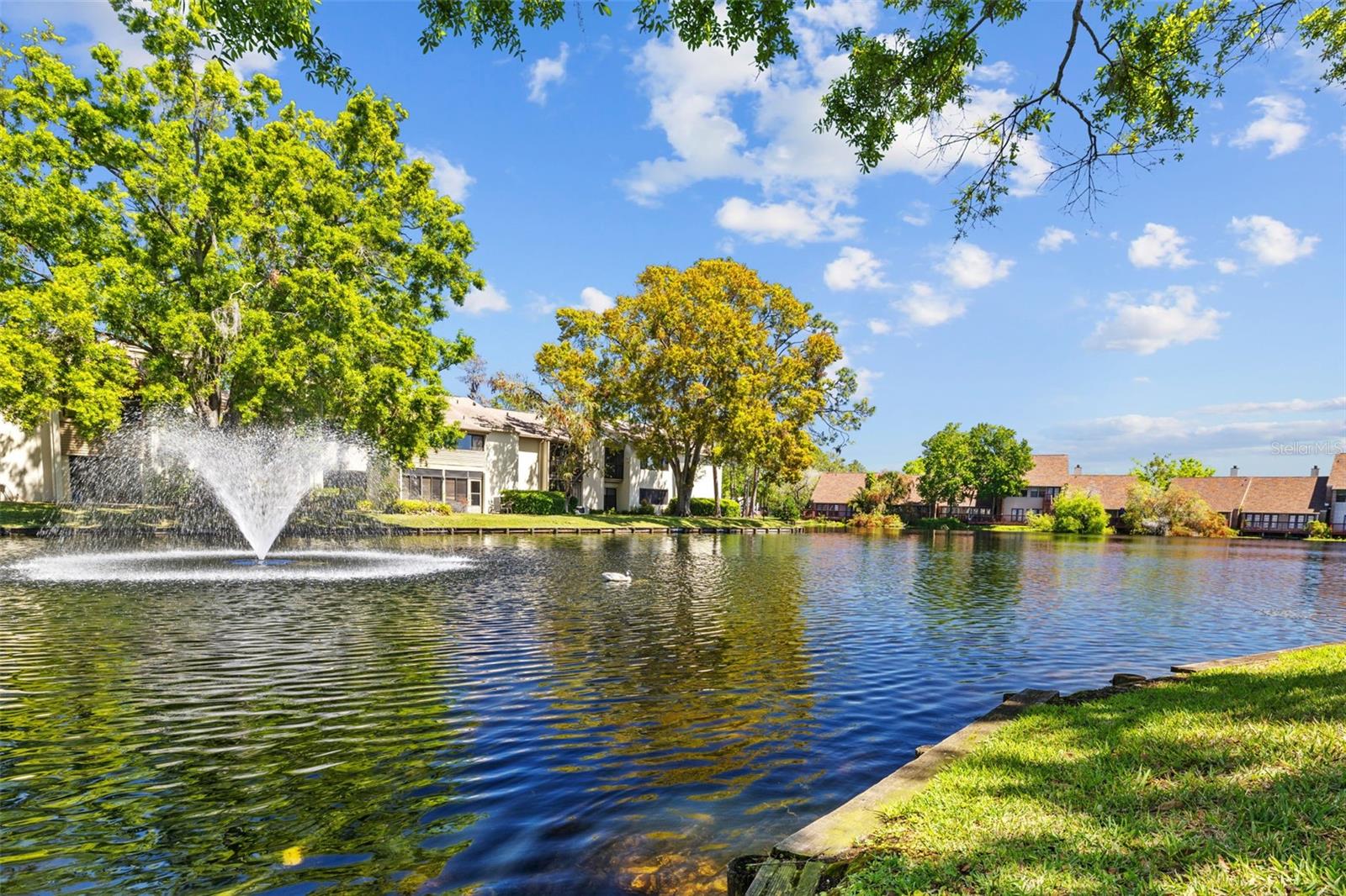 Pond