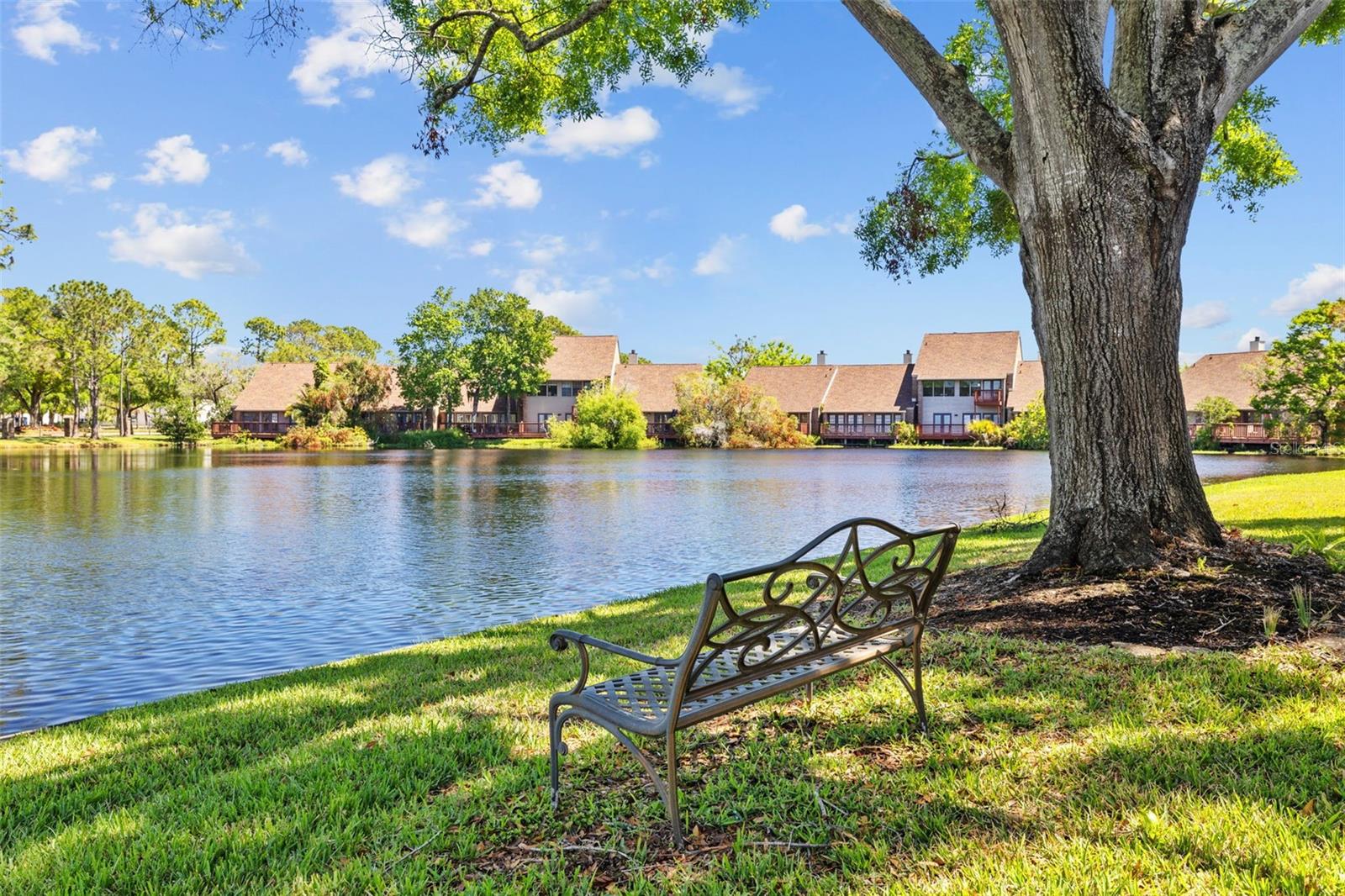 Pond chair