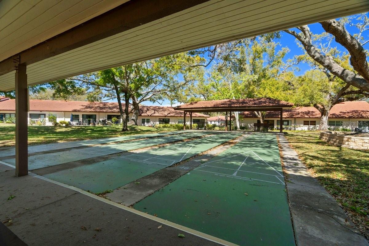 Shuffleboard Anyone?