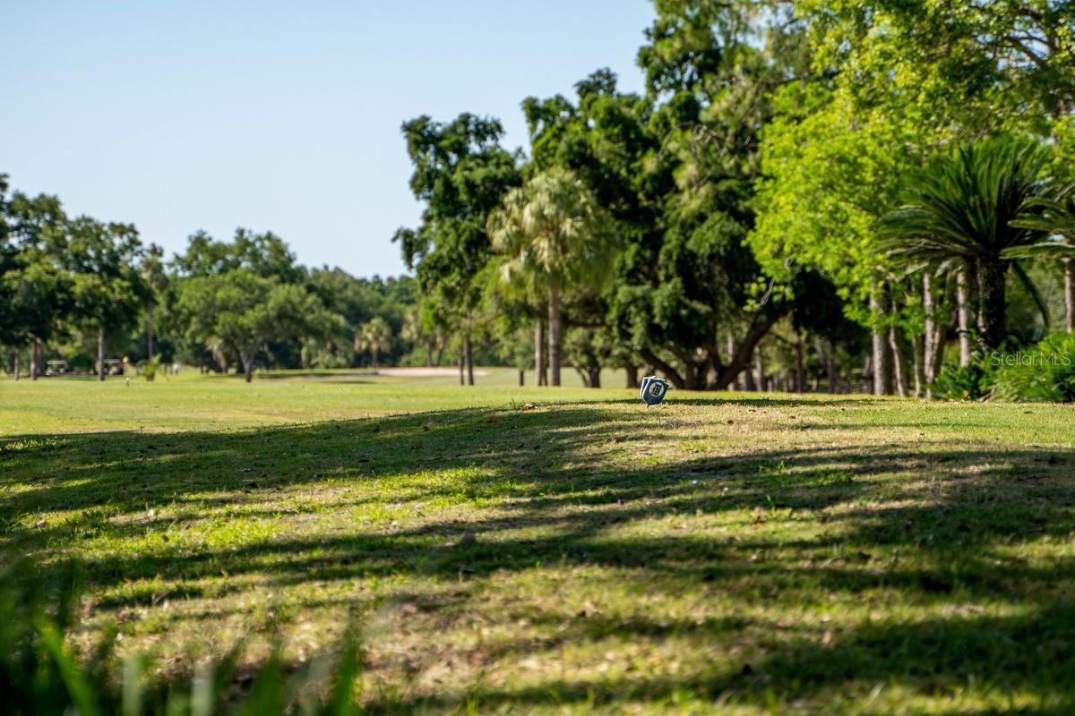 #10 Tee Box