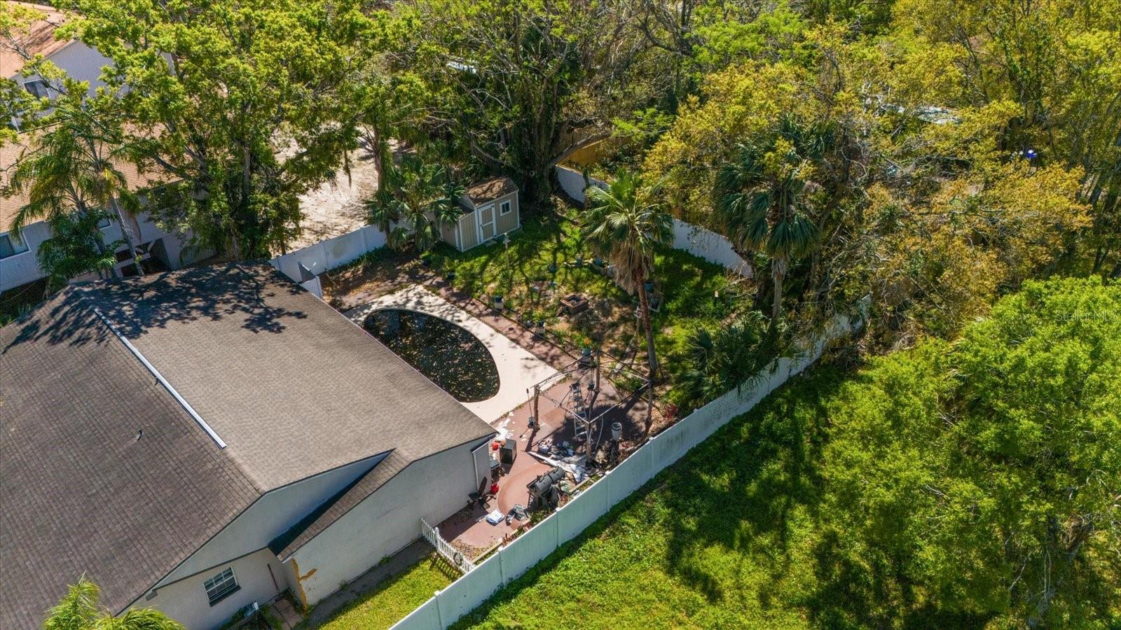 Backyard with Pool