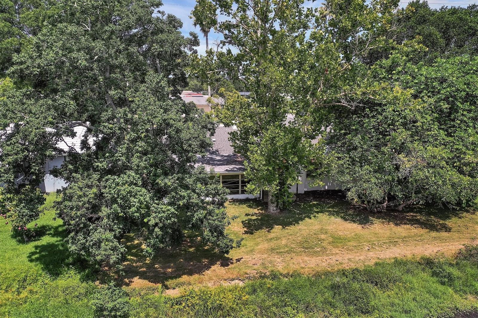 O6288916