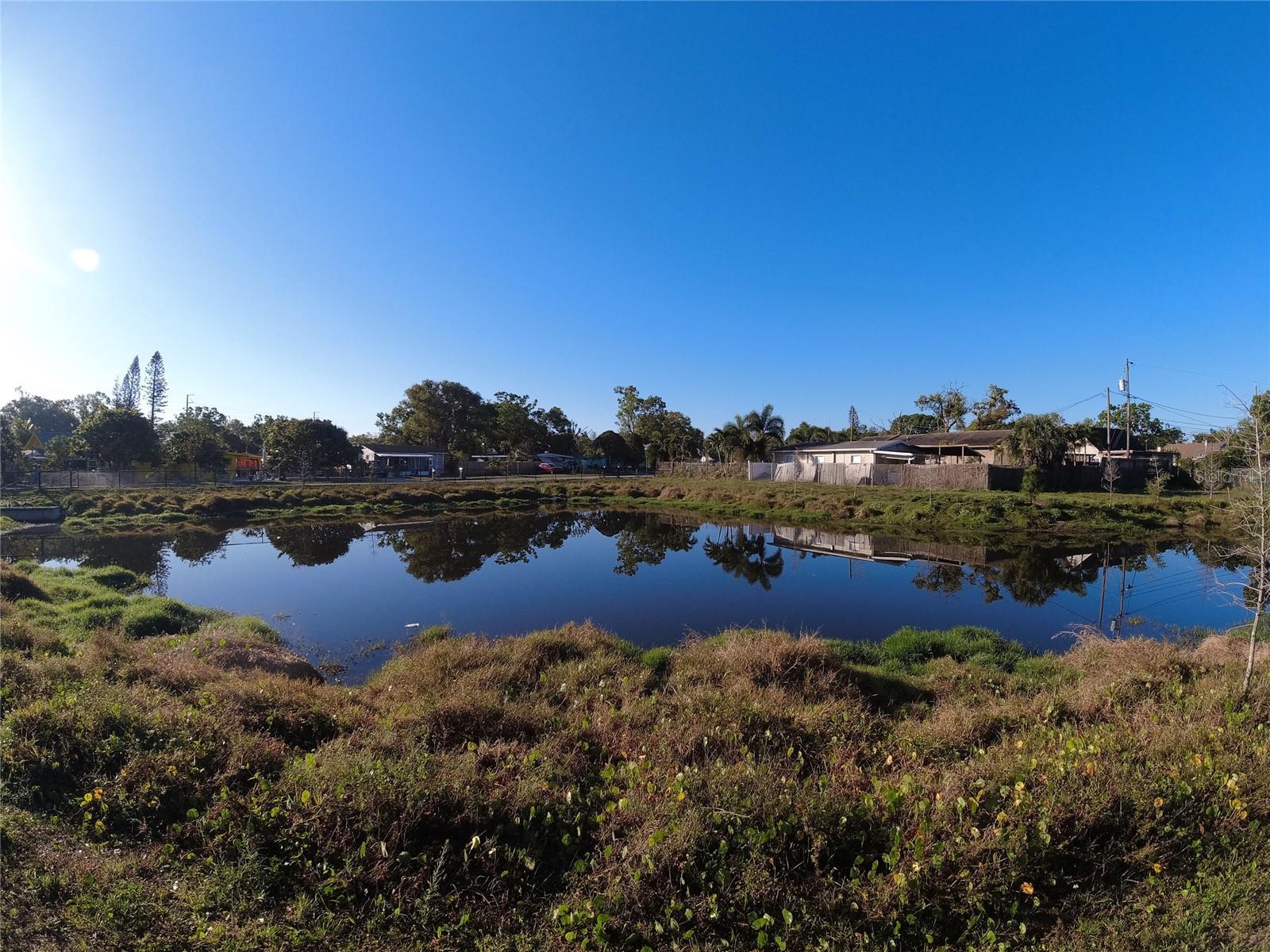 Pond Across the Street