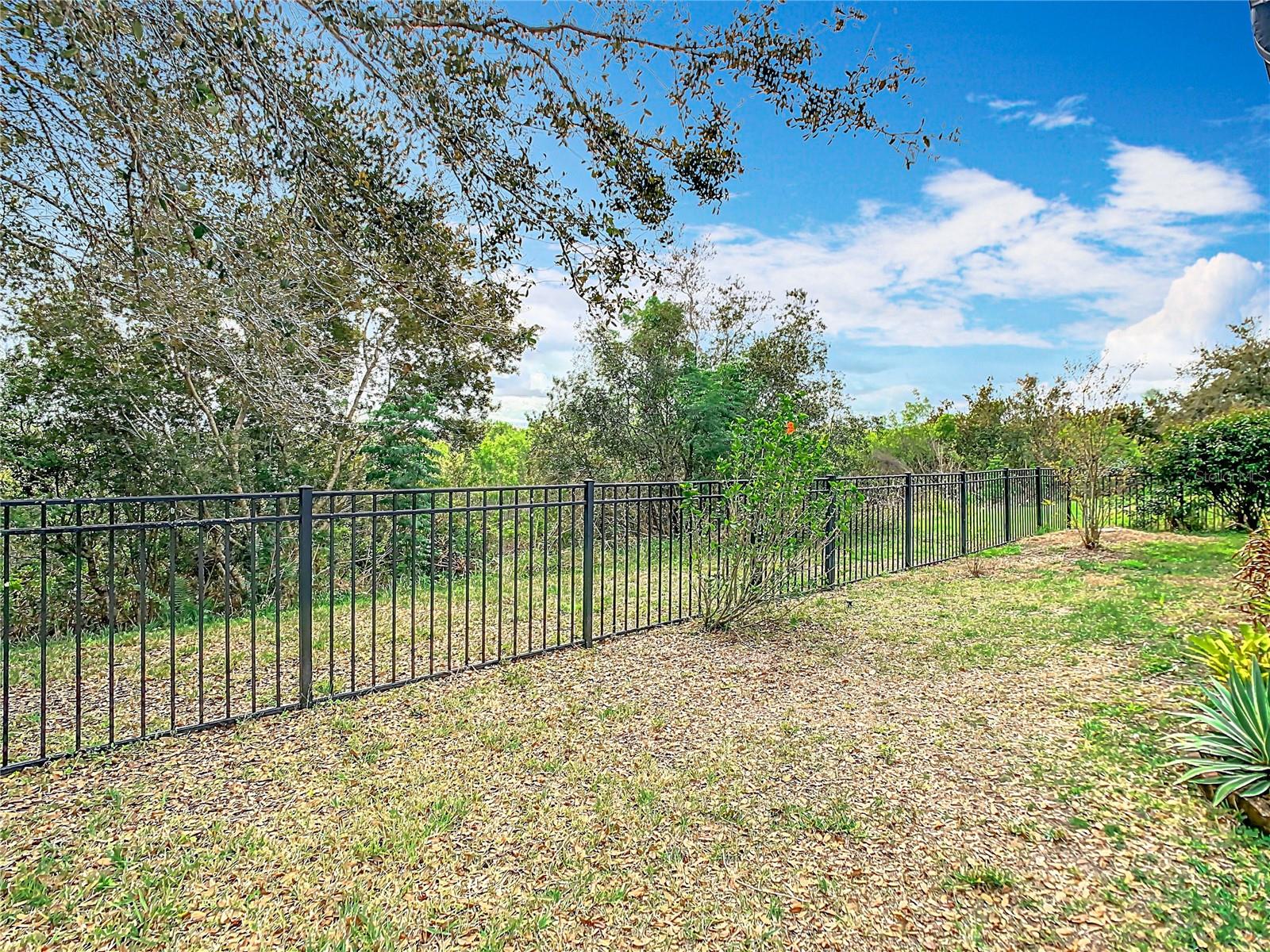 Rear Yard - Conservation and Pond Area
