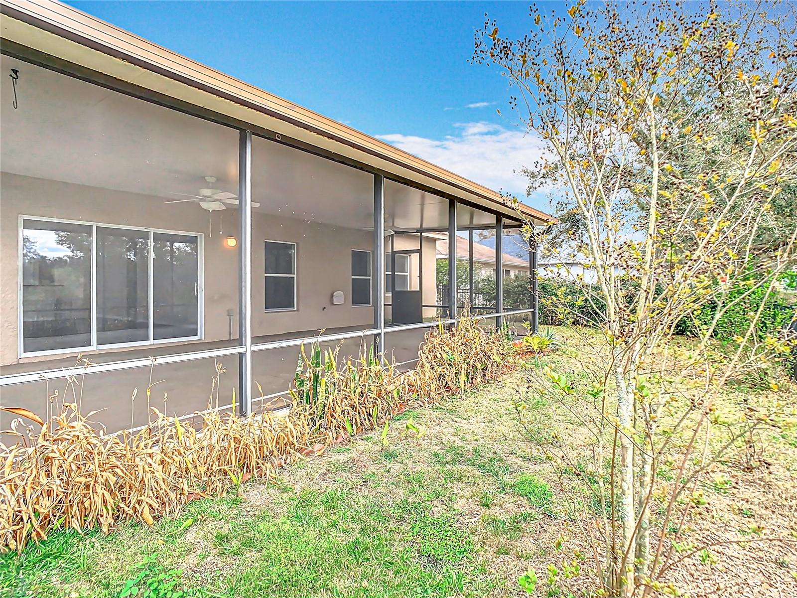 Rear Yard