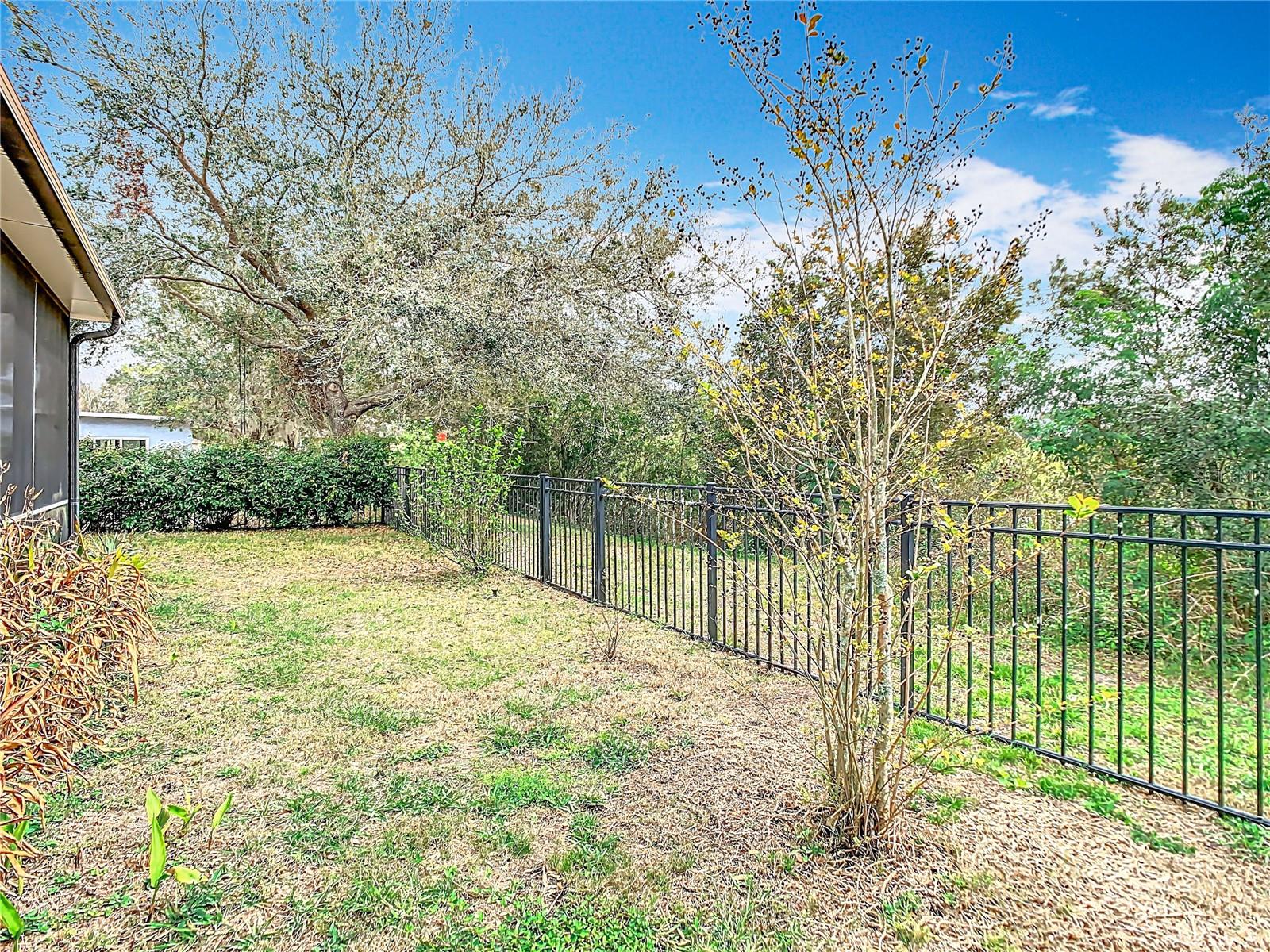 Rear Yard - Conservation and Pond Area