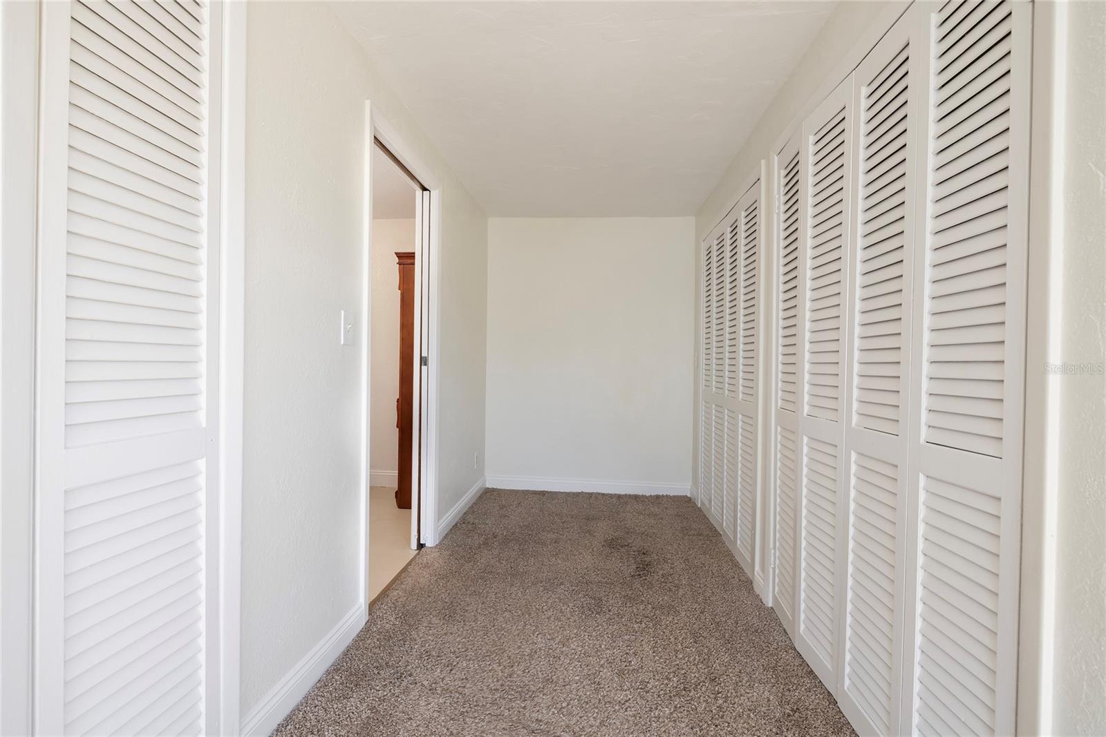 Master Bedroom Closets