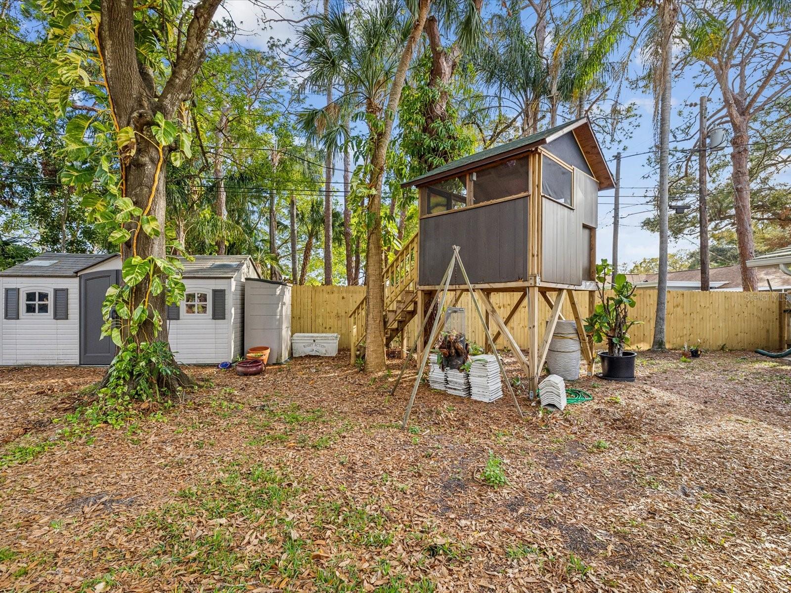 Shed & Treehouse