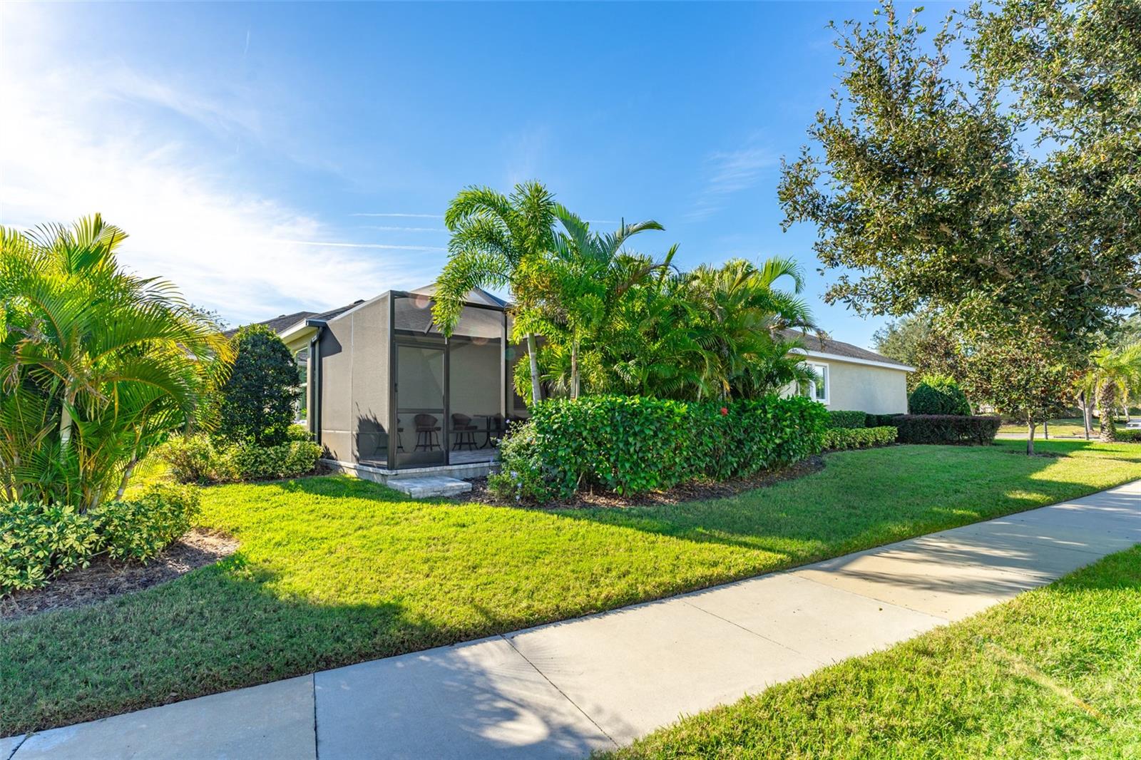 Lush Landscaping For Privacy