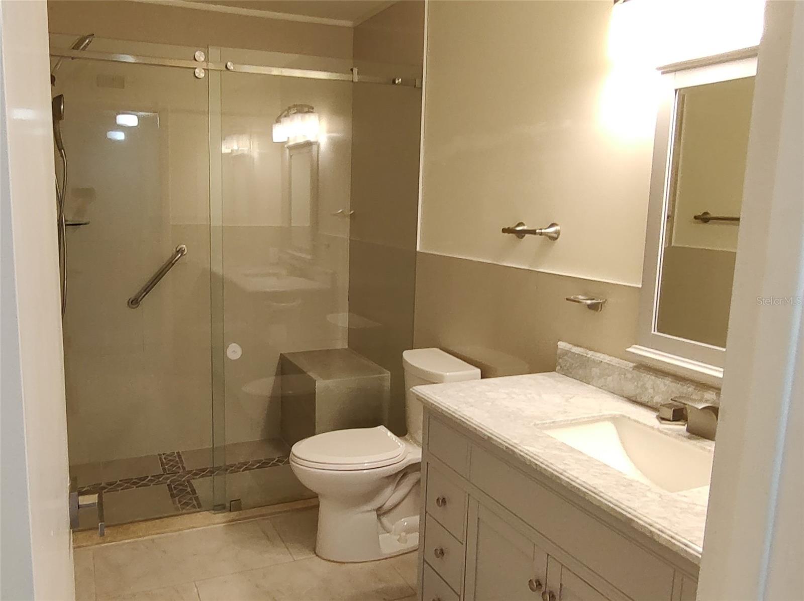 Guest bath with zero entry shower, custom tile, frameless shower slider door.