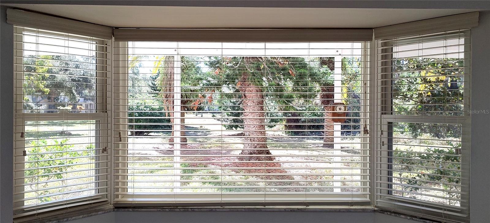 Bay window in kitchen, to conservation area.