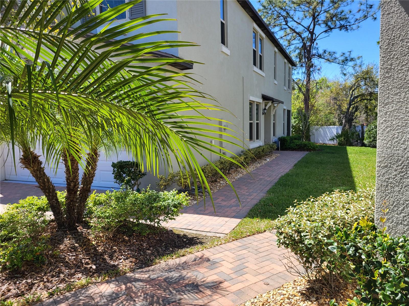 Walkway to entrance