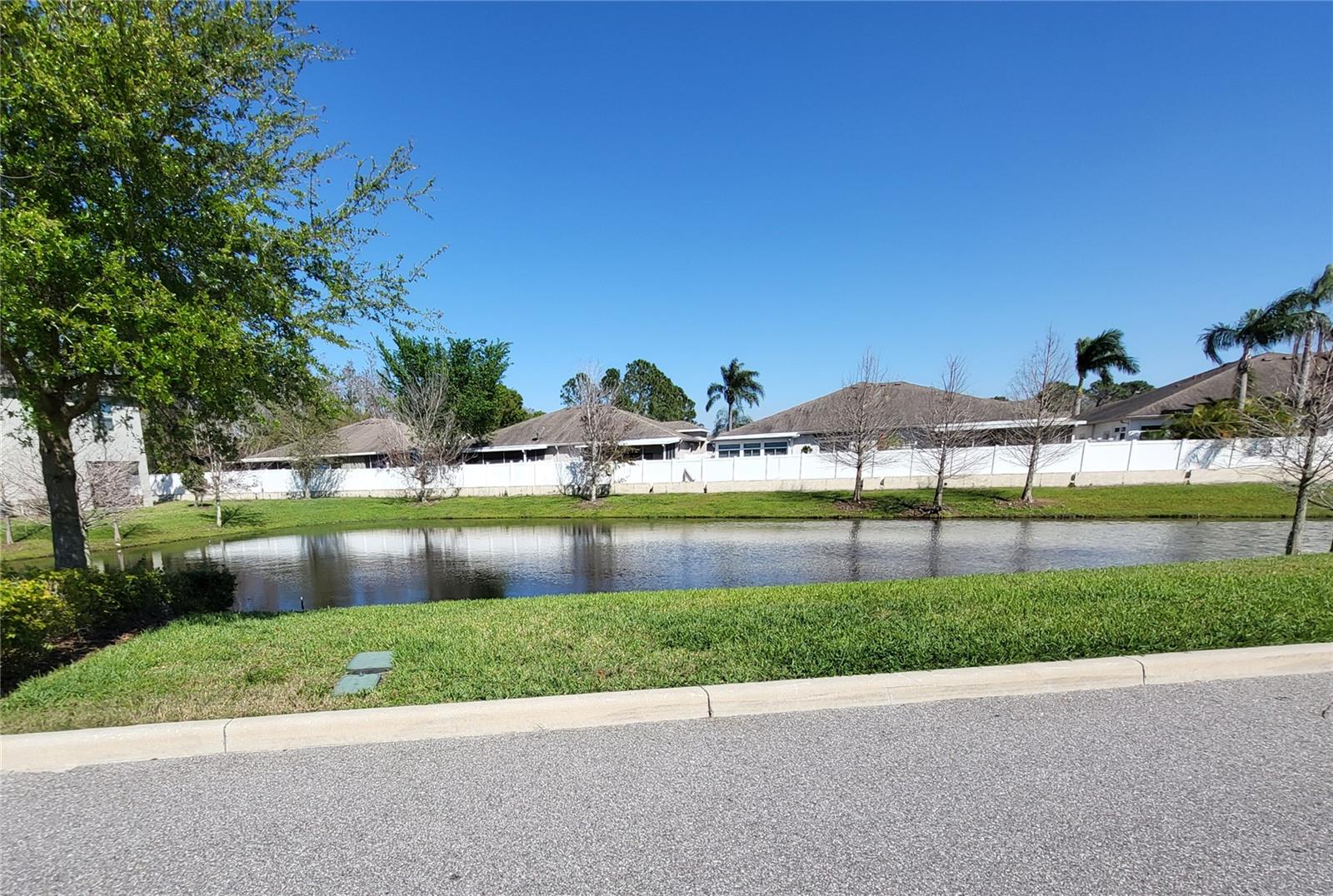 Community pond