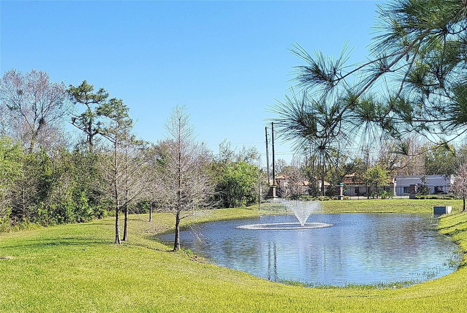 Community pond