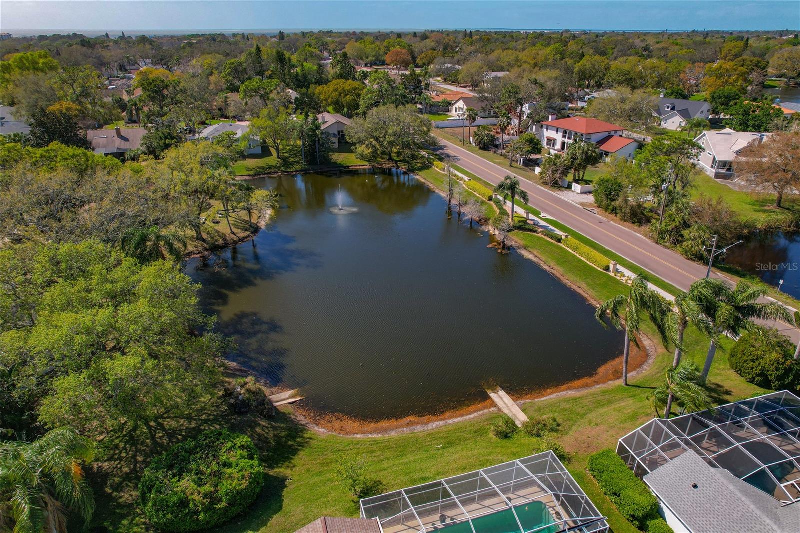 COMMUNITY POND