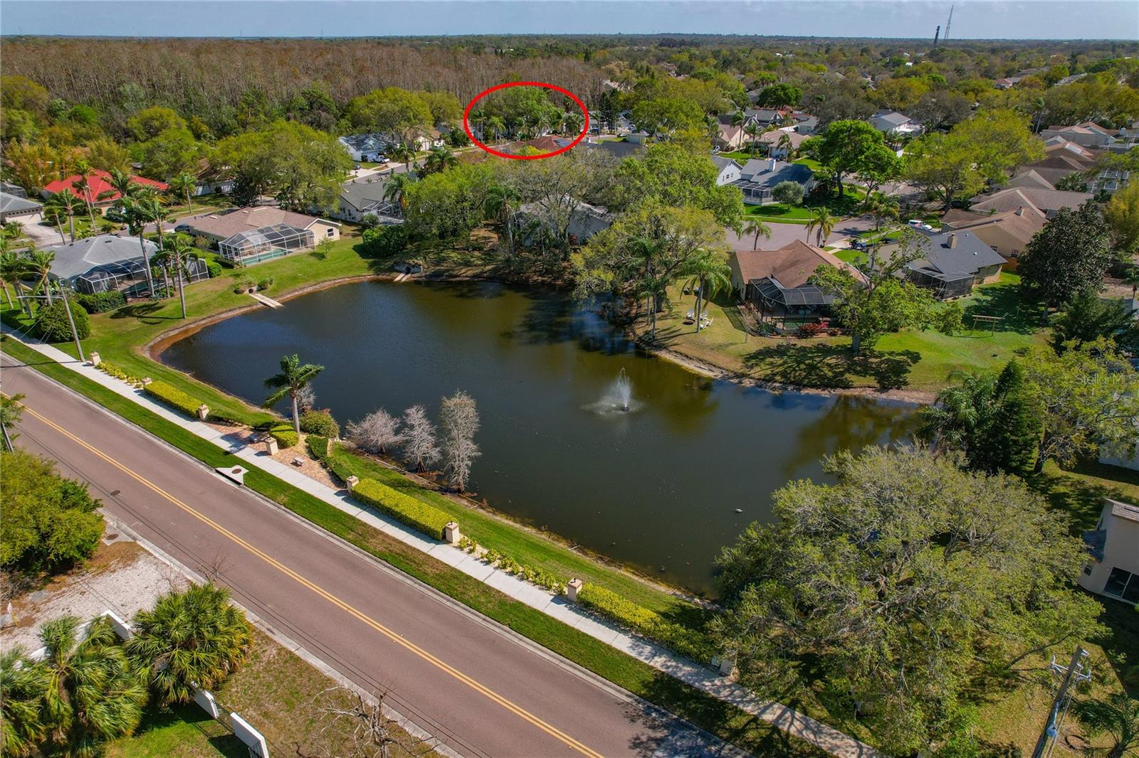 COMMUNITY POND