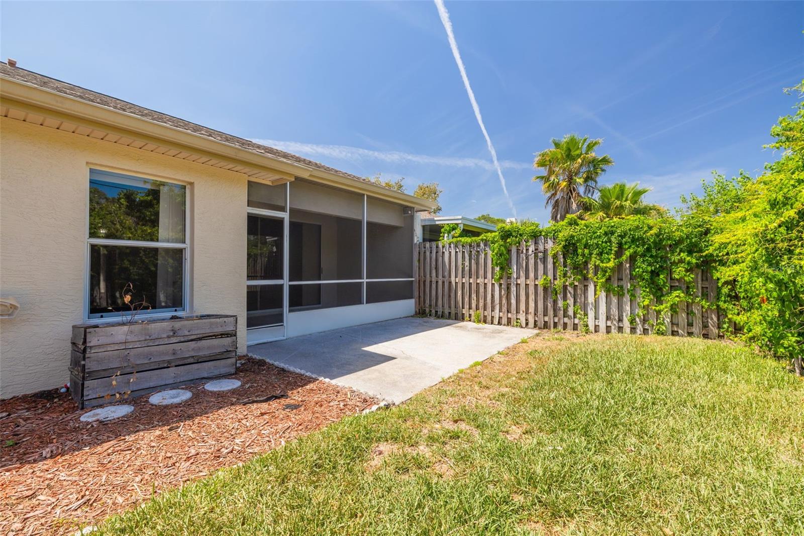 Fenced back yard