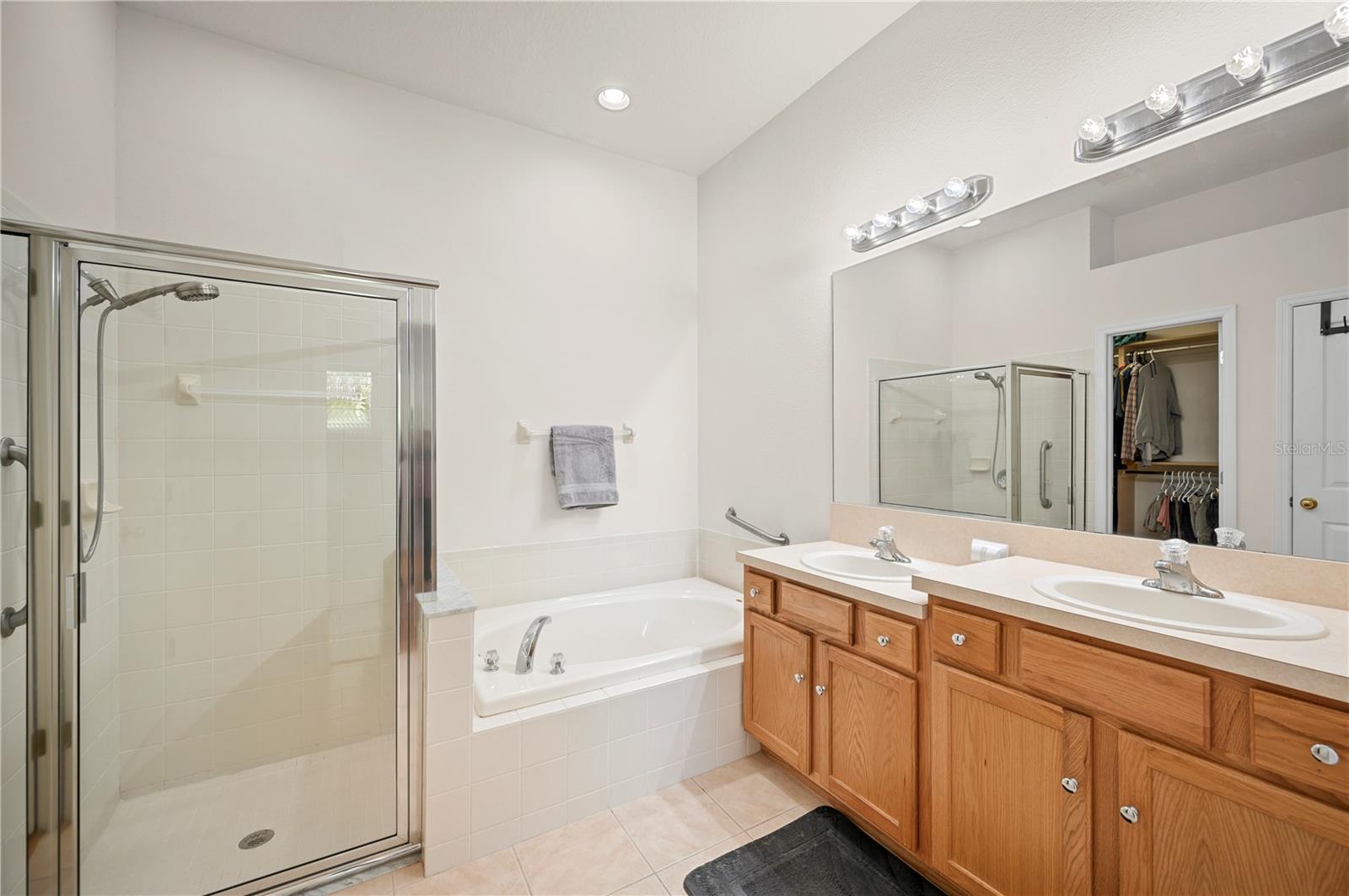 Expansive Owner's Bath