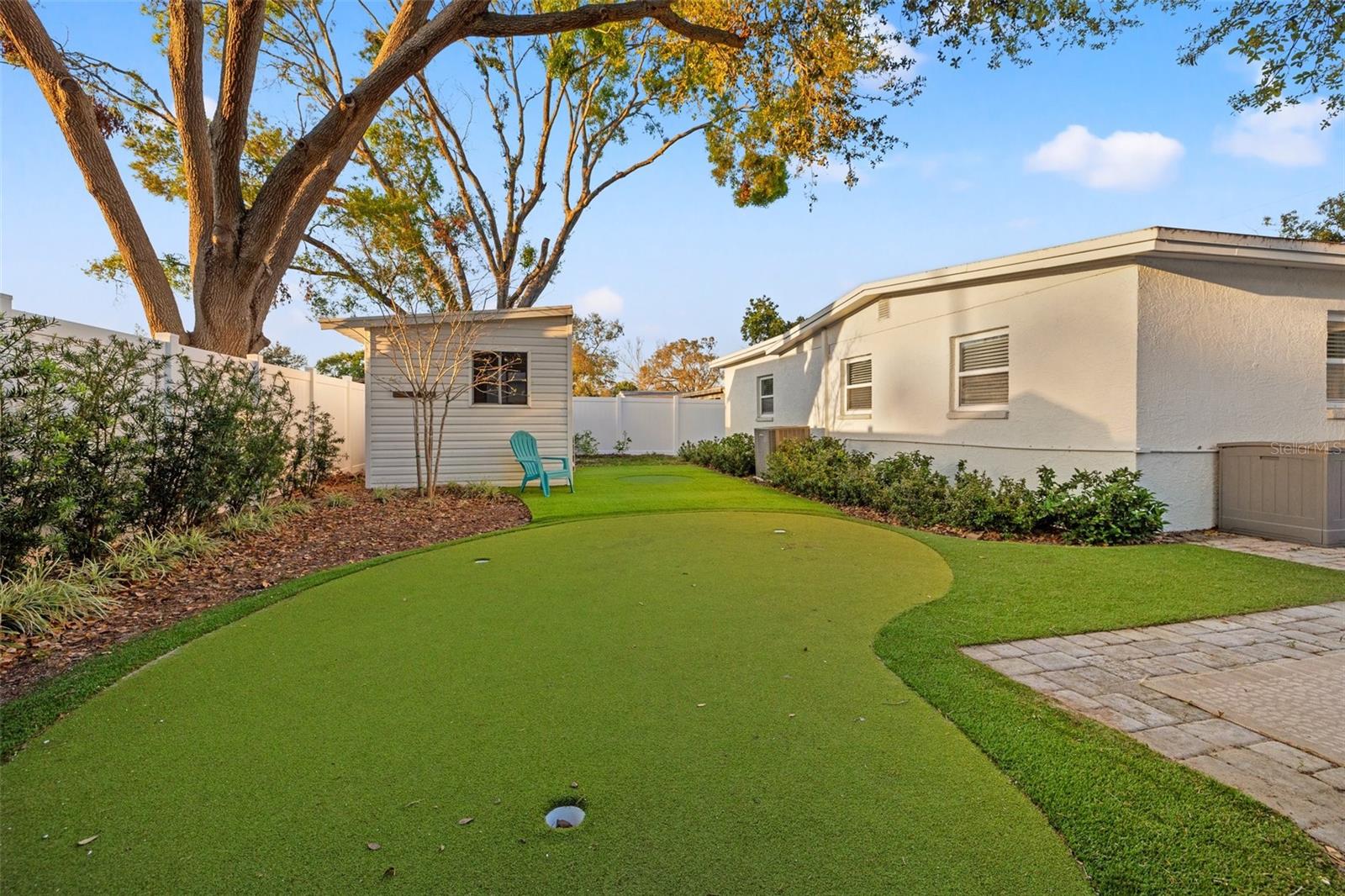 Turf Backyard