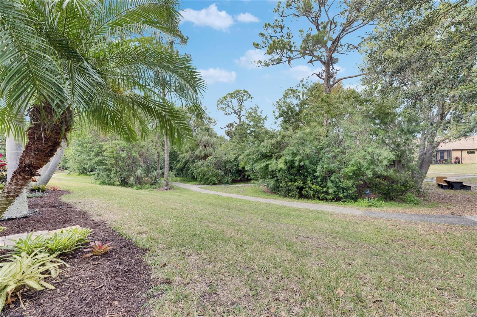 Backyard looking at walking path.