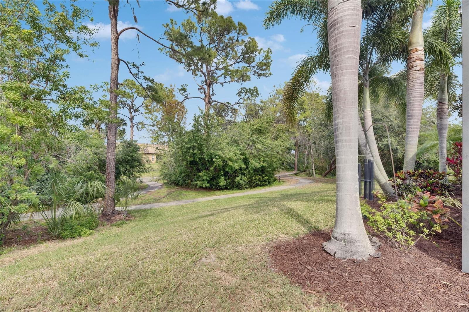 Backyard looking at walking path.