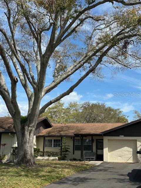 Tree shaded lot.