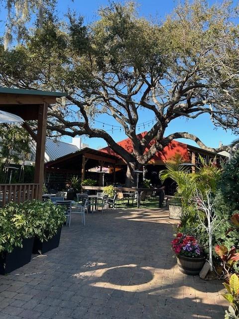Downtown Dunedin outdoor cafe.